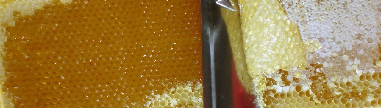  Honey Natures Nate King's Village Plant City FL